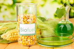 Nanpantan biofuel availability